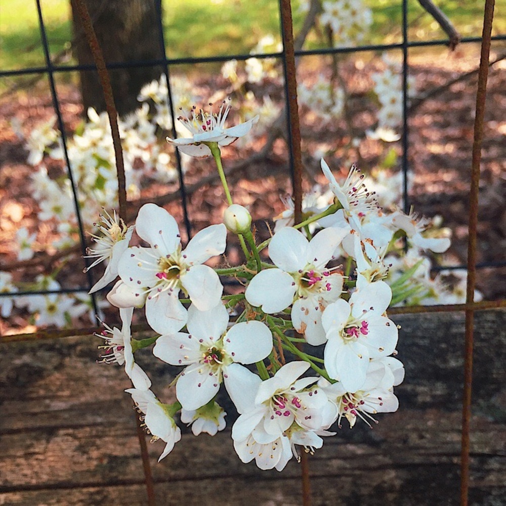 Meet your Posher, Skylar